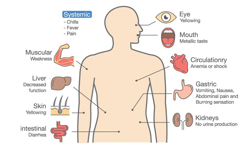 For Health Care Practitioners